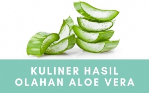 Sehat Dan Lezat, 7 Kuliner Olahan Aloe Vera Ini Wajib Banget Kalian Coba!