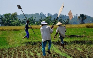 Petani Asal Jambi Ini Meninggal Saat Ikut Aksi Jalan Kaki Untuk Protes Dan Temui Jokowi