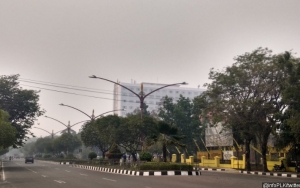 BNPB Klaim Kualitas Udara di Sumatera dan Kalimantan Sudah Membaik