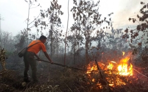 KLHK Sebut Perusahaan Tersangka Karhutla Pernah Diproses Hukum Tahun 2015