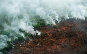 Karhutla Di Kalimantan Buat Iklim Investasi Loyo