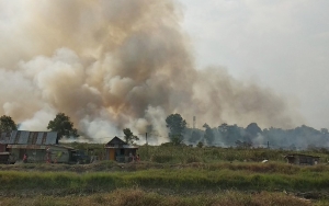 Harta Karun Peninggalan Kerajaan Sriwijaya Bermunculan Di Lokasi Karhutla