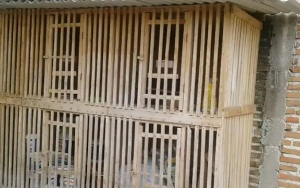 Alami Kelainan, Bocah Pamekasan Dikurung di Bekas Kandang Ayam