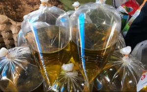 Kemendag Ungkap Alasan Larang Minyak Curah: Rentan Terkontaminasi Kecoak