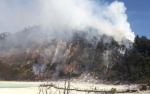 Kawasan Wisata Kawah Putih Bandung Kebakaran, 15 Hektare Lahan Ludes