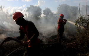 BNPB Sebut Titik Panas Karhutla Kembali Meningkat 