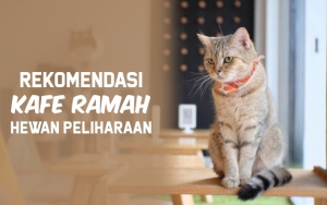 Boleh Bawa Hewan Peliharaan! Berikut 8 Rekomendasi Kafe Yang Ramah Untuk Teman Berbulu Kalian