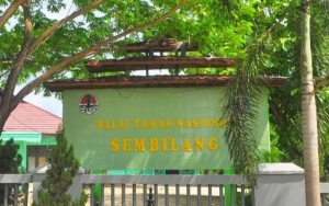 Karhulta Sumsel Merembet Hingga ke Taman Nasional Sembilang Bakar Ribuan Hektare Lahan
