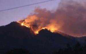 Kebakaran di Gunung Arjuno Tak Kunjung Padam, Khofifah Minta BNPB Turun Tangan