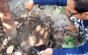 Heboh Tanah Berasap Keluarkan Bau Menyengat di Jombang, Bisa Matangkan Telur Ayam