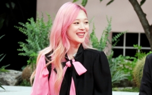 'Night of Hate Comments' Berhenti Tayang Usai Sulli Meninggal, Staf Produksi Angkat Bicara