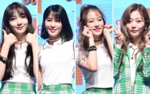 Agensi HINAPIA Grup Baru 4 Mantan Member Pristin Banjir Kritik Karena Kualitas Materi Promosi