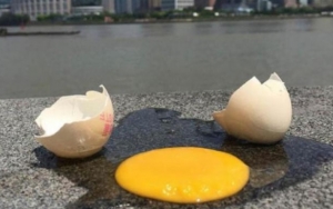 Viral Video Masak Telur di Aspal, Warganet Ributkan Rahasia Dibaliknya