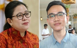Puan Maharani Sebut Gibran Punya Peluang Maju Pilwakot Solo Lewat PDIP