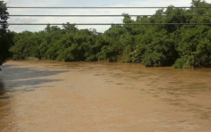 Bengawan Solo Tercemar, Air Berwarna Hitam Pekat dan Bau Alkohol