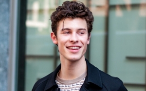 MTV Europe Music Awards 2019: Shawn Mendes Jadi Best Artist, Ini Daftar Lengkap Pemenangnya
