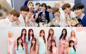 PD 'Produce X 101' Dipanggil Polisi Atas Dugaan Manipulasi Voting, Netizen Tuntut X1 - IZ*ONE Bubar