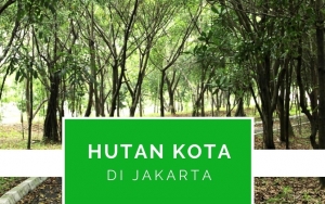 Penat dengan Hiruk Pikuk Jakarta? Datangi Saja 7 Hutan Kota Ini untuk Menyejukkan Pikiran