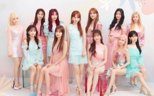 IZ*ONE Mendadak Batalkan Showcase Comeback, Imbas PD 'Produce' Akui Lakukan Kecurangan Voting?