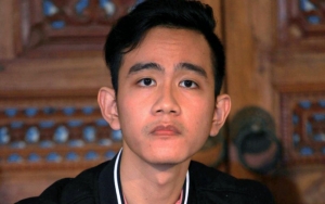 Gibran Belum Komunikasi Ke PDIP Jateng Soal Maju Jadi Wali Kota Solo, Mengapa?