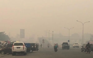 Titik Api Kembali Meningkat, Karhutla Sumsel Capai 361 Ribu Hektare