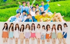 Petisi Nasional Blue House Dimulai Untuk Bubarkan IZ*ONE Dan X1 Menyusul Skandal Manipulasi
