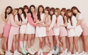 IZ*ONE Dibela Habis-Habisan Usai Penampilannya di Sejumlah Acara TV Dibatalkan