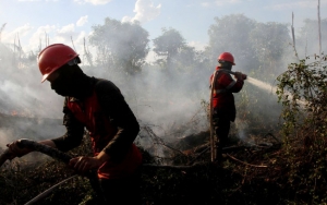 Masih Tertutup Asap, Status Tanggap Darurat Karhutla di Sumsel Diperpanjang