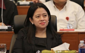 Jokowi Disebut Berencana Tambah 6 Wamen, Puan Maharani Kritik Tak Efisien
