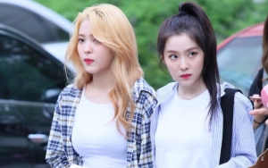Irene Red Velvet Unggah Foto Cantik, Komentar Yeri Bikin Fans Gemas