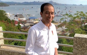 Jokowi Soal Heboh Anggaran Pemprov DKI: Kalau Tidak Ada Niat Jahat Jangan Dicari-cari