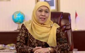 Ramai Telur Berdioxin, Khofifah Sidak Peternakan Ayam