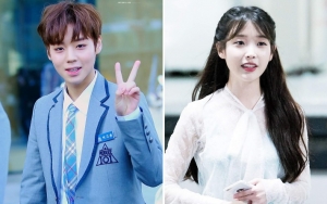 Park Jihoon Kena Sindir Masuk Universitas Lewat Jalur Khusus, Curhatan IU Soal Kuliah Dibahas
