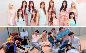 MAMA 2019: Pihak Penyelenggara Galau Undang IZ*ONE dan X1 atau Tidak, Efek Skandal 'Produce'