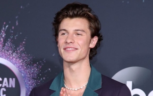 Shawn Mendes Pamer Bulu Dada di Red Carpet American Music Awards 2019