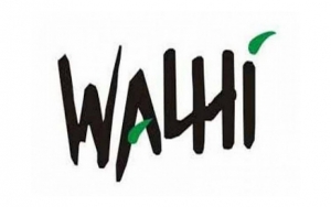 Walhi Nilai Wacana Pemerintah Hapus IMB dan Amdal Justru Bisa Rusak Lingkungan