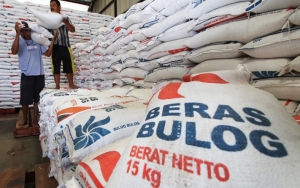 20 Ribu Ton Beras Bulog Alami Penurunan Mutu, Bakal Dibuang?