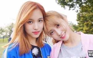 Perbedaan Mencolok antara Momo dan Mina Twice Jadi Perbincangan Netizen