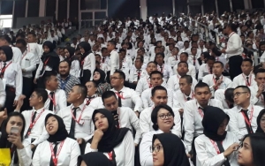 Seleksi CPNS 2019 Siap Masuk Babak Baru, Begini Cara Intip 'Nasib' Pendaftar