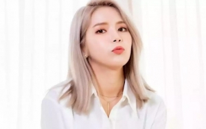 Solar Mamamoo Sempat Ingin Menjadi Karyawan JYP, Kenapa?