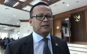 Ahli Perikanan IPB Kritik Kebijakan Edhy Ekspor Lobster: Jangan Kalah Oleh Penyelundup