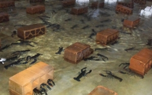 Wacana Ekspor Benih Lobster Disambut Baik Vietnam, Ternyata Punya 'Kota Rahasia' Sebagai Penampungan