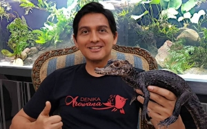 Lolos Dari Gigitan 2000 Ikan Piranha, Lucky Hakim Siap Renang Bareng Belut Listrik Dan Hiu