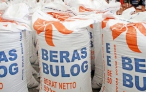 20 Ribu Ton Beras Bulog Rusak Berhasil Dilelang Seharga Puluhan Miliar