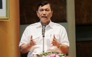 Komentar Luhut Soal Eks Anak Buah Jadi Wadirut PLN