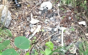 Identitas Kerangka Misterius Dalam Septic Tank Di Bantul Akhirnya Terungkap