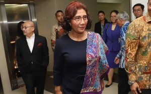 Ekspor Benih Lobster Dibatalkan, Susi Pudjiastuti Langsung Banjir Pujian