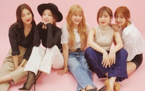 SBS Gayo Daejun 2019: Nasib Mengenaskan Fans Red Velvet Pasca Irene dkk Batal Tampil