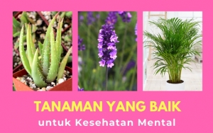 Tak Hanya Miliki Penampilan Cantik, 7 Tanaman Ini Juga Bagus Untuk Kesehatan Mental Loh!