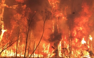 Ramai Kebakaran Hutan Australia, Asap Membentuk Wajah 'Iblis' Jadi Sorotan